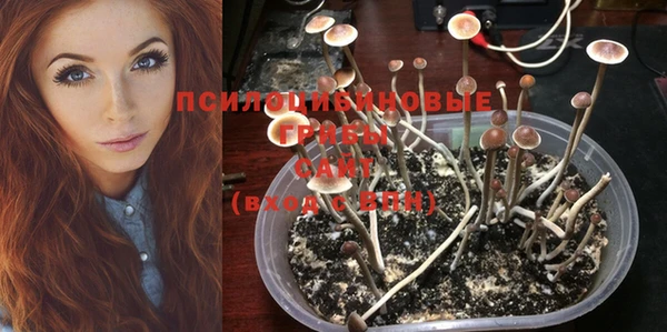 экстази Алзамай