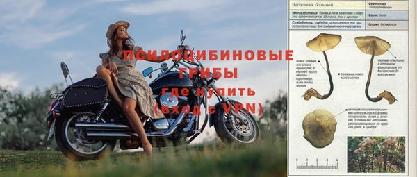 твердый Карпинск